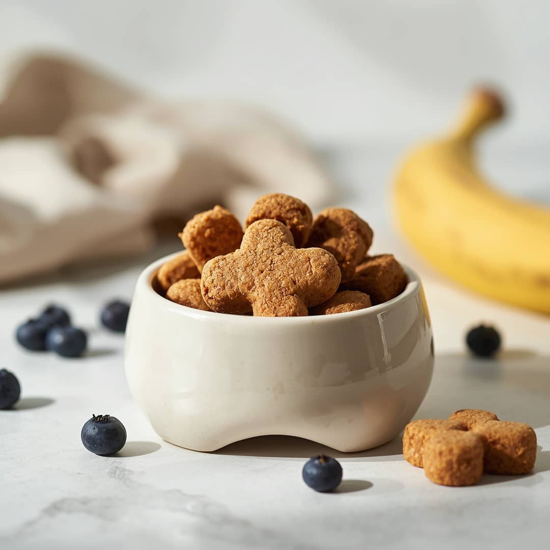 Healthy DIY Banana Blueberry Dog Treats 2 Healthy DIY Banana Blueberry Dog Treats